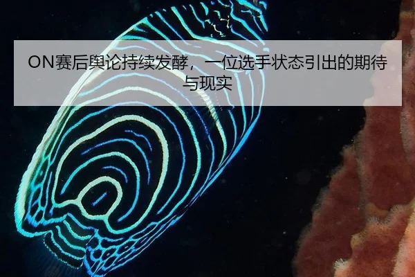 ON赛后舆论持续发酵，一位选手状态引出的期待与现实